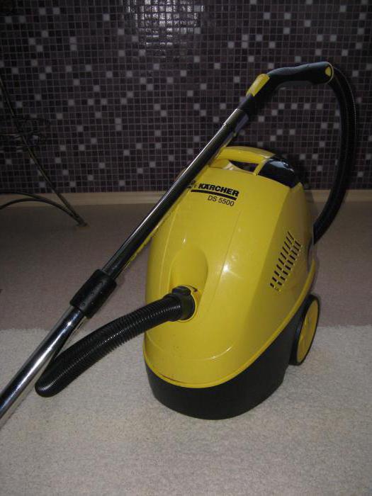 karcher ds 5500 reviews