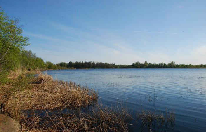 берега озера Орлинское
