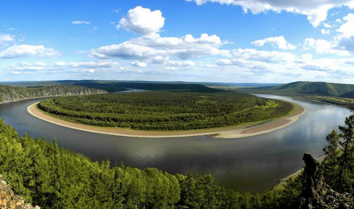 Голубика река описание фото