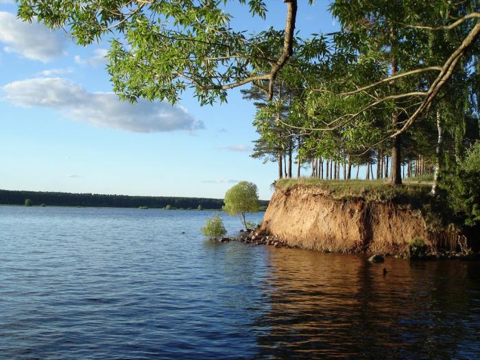 Volga river