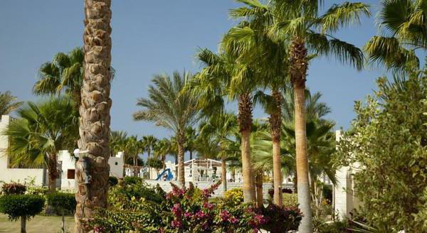 описание отеля coral beach hotel hurghada 4 египет хургада