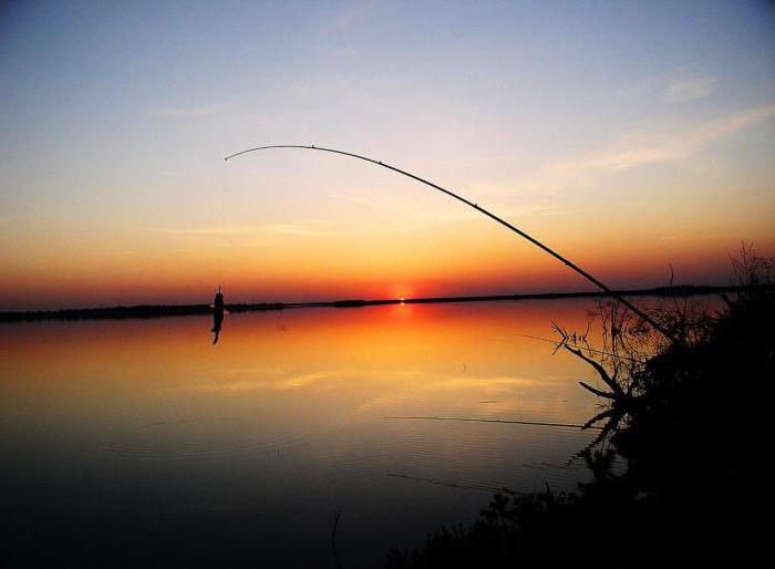 рыбалка на великом озере тверской области
