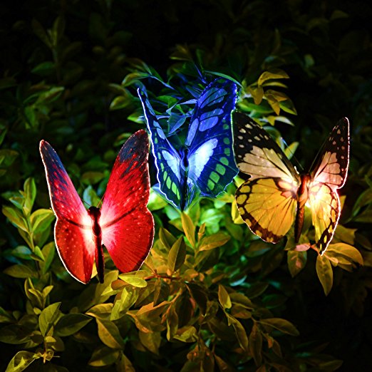 фонарь бабочки