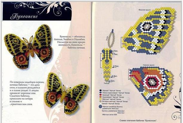 Бабочка Бунеопсис