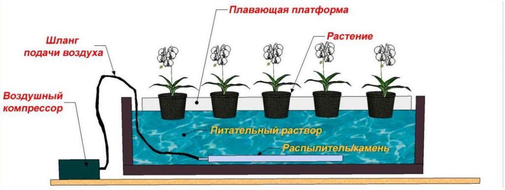 Оборудование для гидропоники