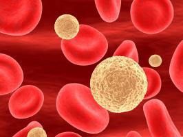 Анализ крови lym повышен что это значит у детей thumbnail