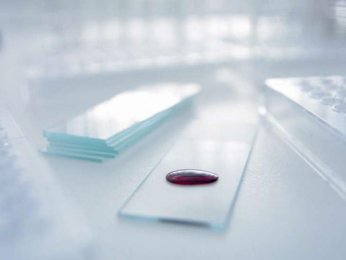 таблица биохимического анализа крови расшифровка