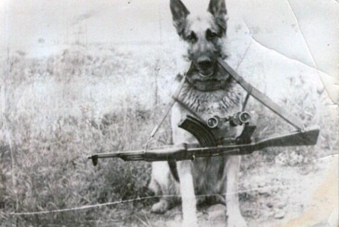 Karatsup border guard and his dog