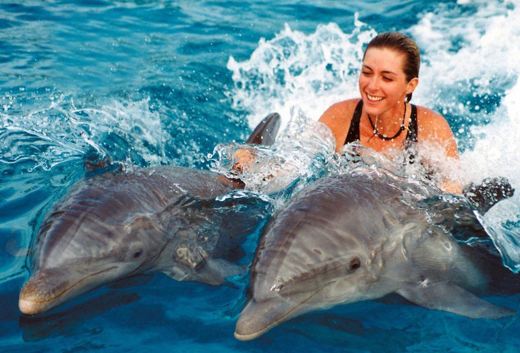 Дельфины очень дружелюбные существа