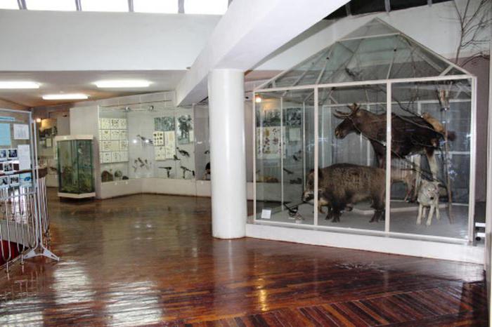краеведческий музей белгород выставка динозавров