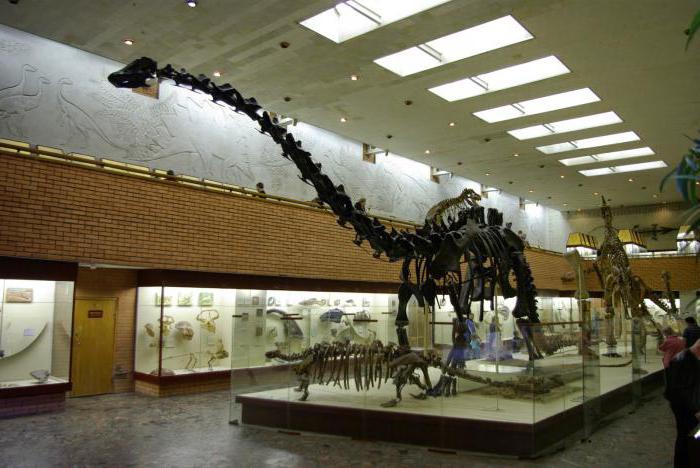 где находится палеонтологический музей в москве адрес