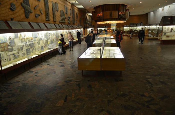 палеонтологический музей в москве адрес метро