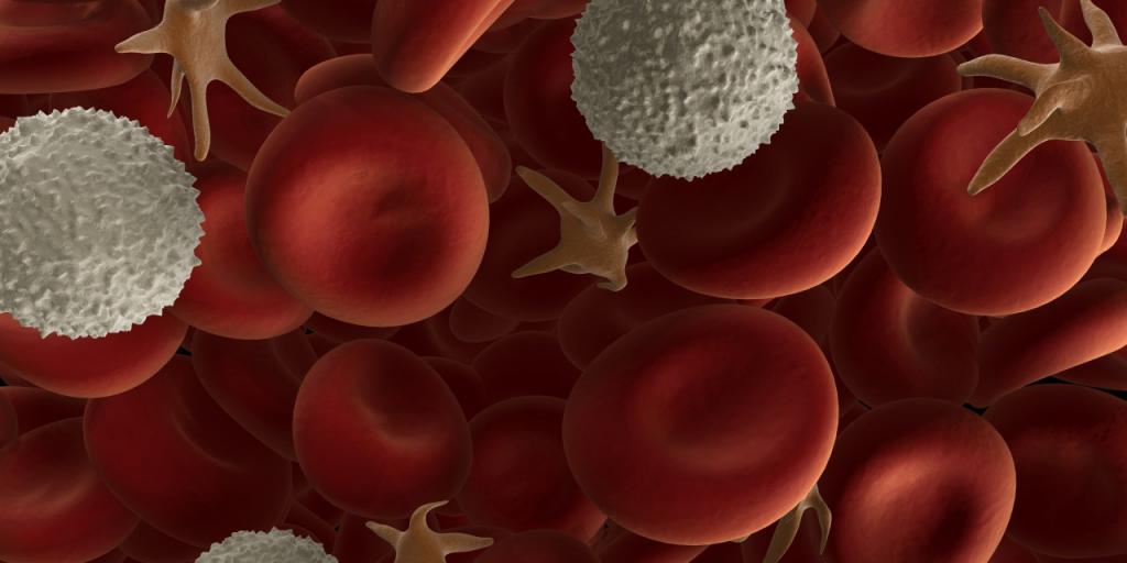 лейкоциты в крови повышены