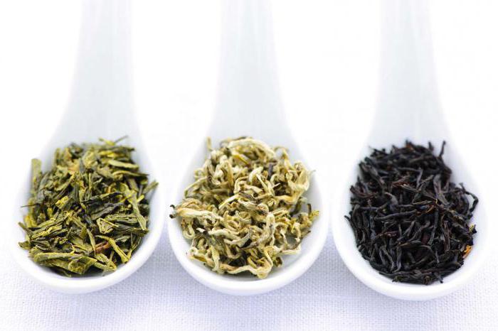 Зеленый чай какой чай полезнее черный или зеленый thumbnail