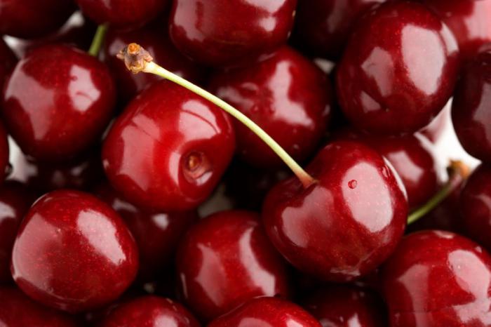 Kharitonovskaya cherry variety description