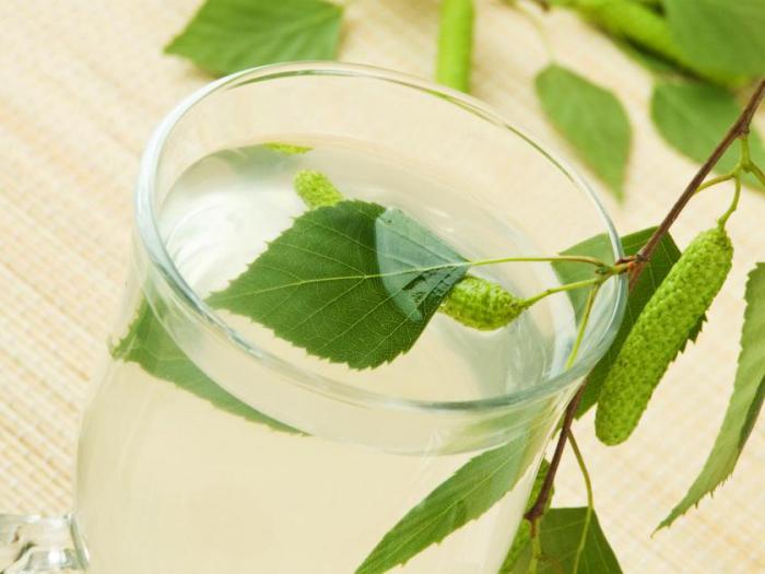 birch sap benefits and harms