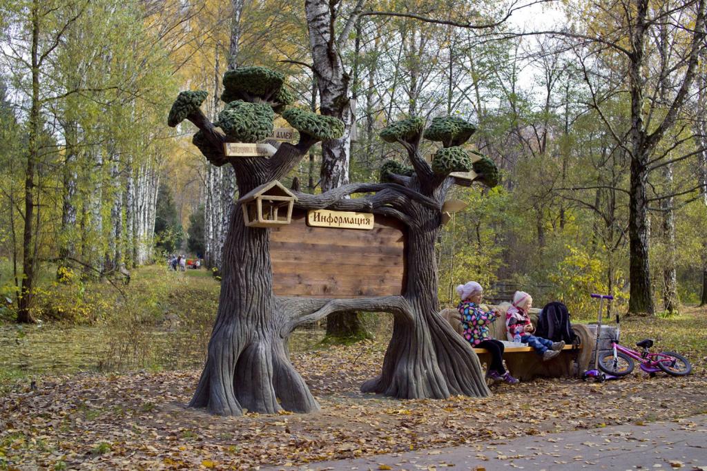 Фото дендропарка в бирюлево