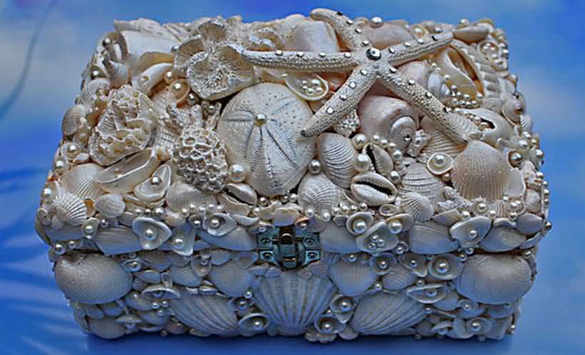 Seashell decor