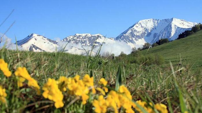 The highest mountain in the Krasnodar Territory