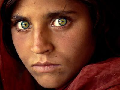 Exhibition (Steve McCurry, Hermitage)