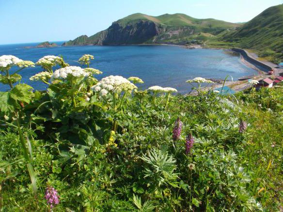 Japan: Hokkaido Bay