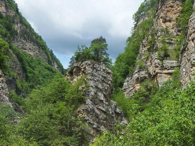 Дигорское ущелье (Северная Осетия)