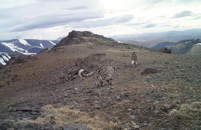 Saylyugemsky National Park: photos