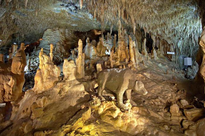 Халкидики (Пещера Петралона)