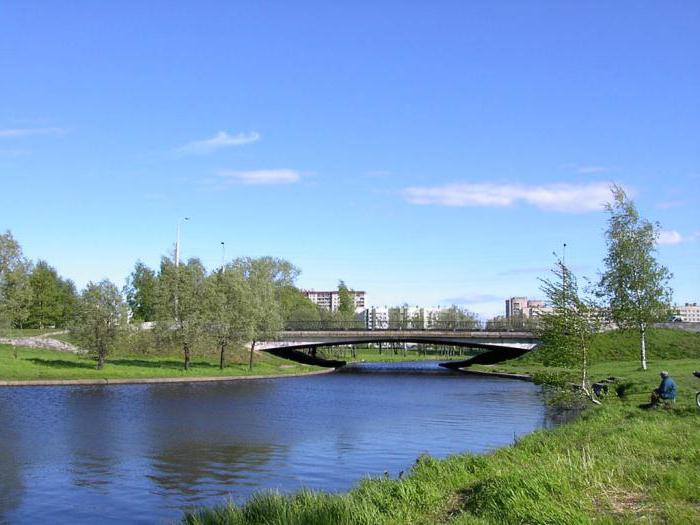 Муринский ручей (Санкт-Петербург)