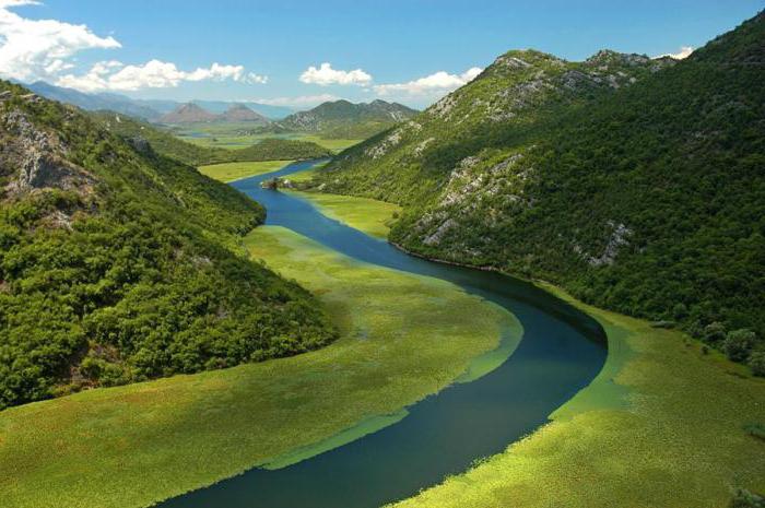 скадарское озеро черногория самостоятельно на машине