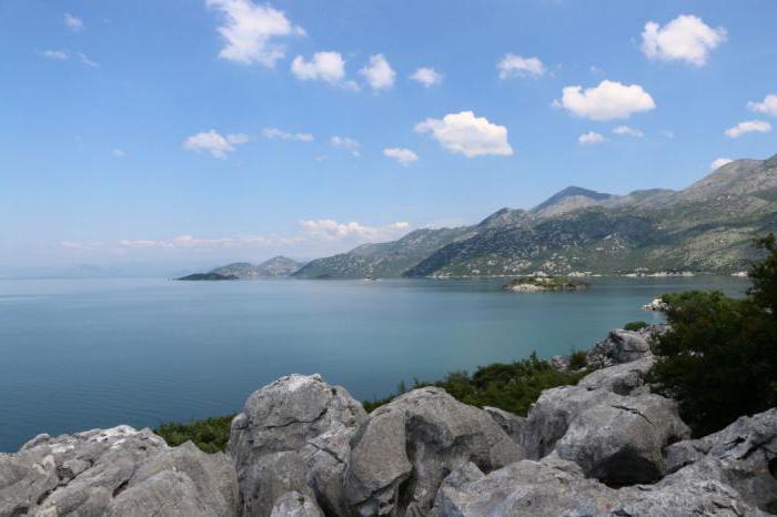 скадарское озеро черногория достопримечательности 