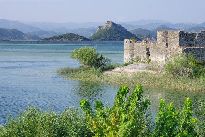 скадарское озеро черногория самостоятельно отзывы