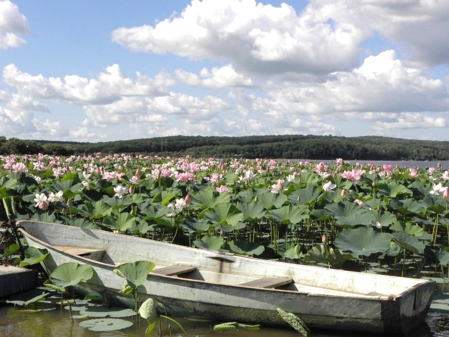 Оз Ханка Приморский край