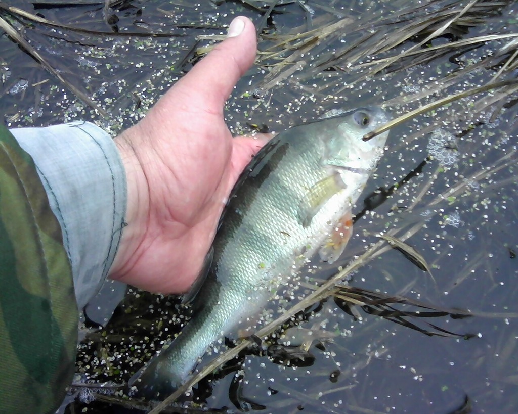 Fishing on the Tuzlov River