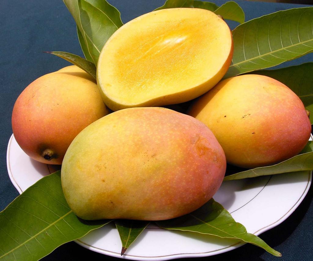 Фото покажи фото манго