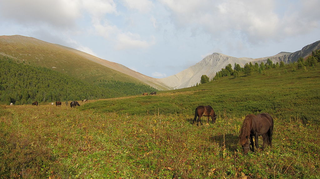 The Mountain Charyosh Nature