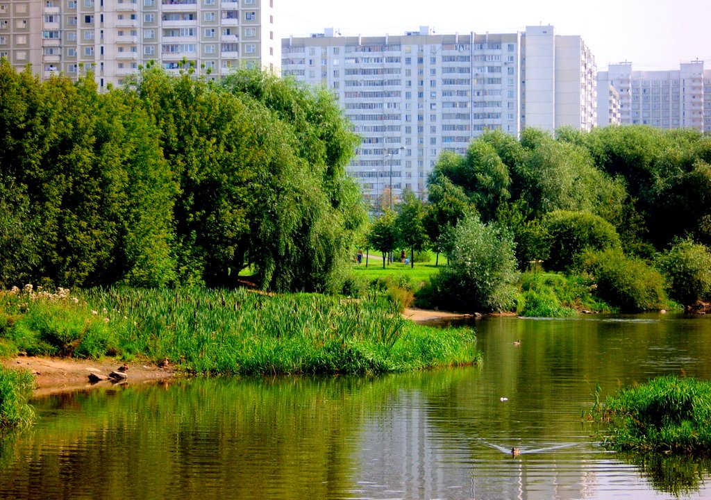 Волга в районе Городня