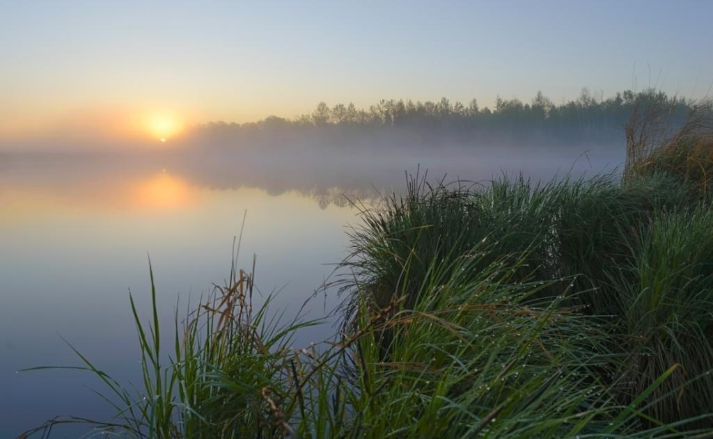 Nature reserve area