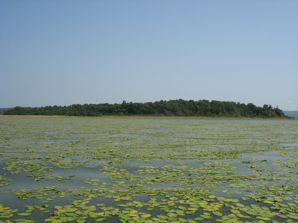 Lake Bologne