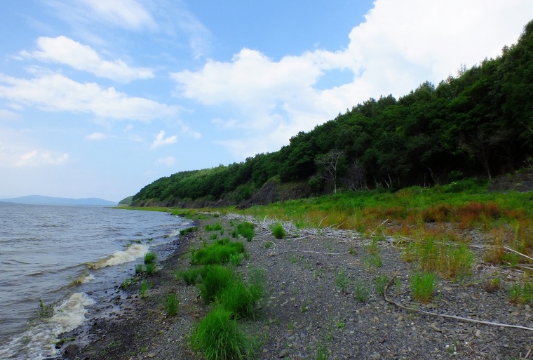 The vegetation of the reserve