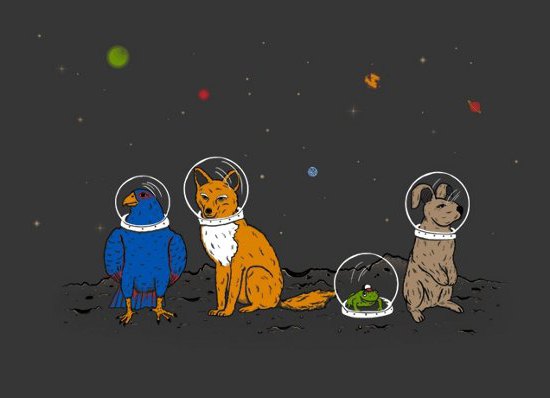 каких животных отправляли в космос