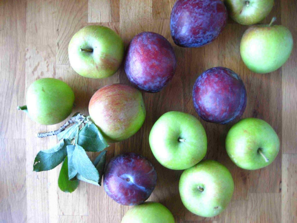 Диета при контактном дерматите - яблоки и сливы полезны