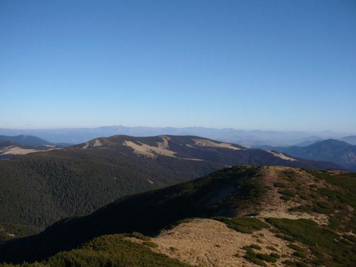 Mount Hamster in the Carpathians