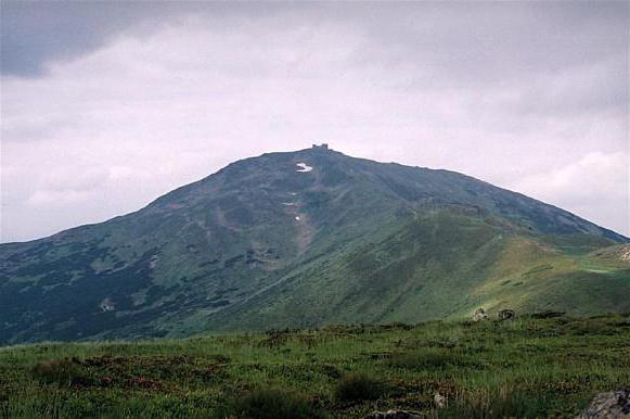 mountain hamster route