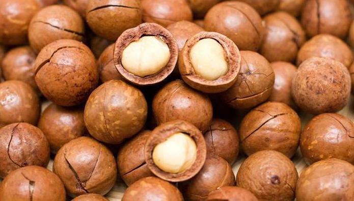 macadamia oil properties and applications