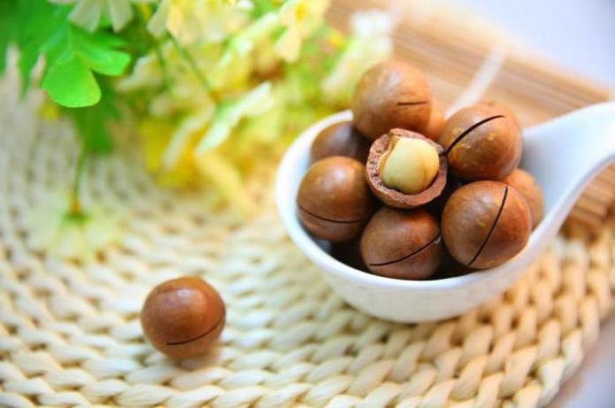 macadamia nut flavor