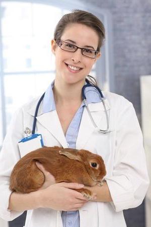 veterinarian greetings to colleagues