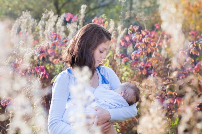 Is black currant possible for nursing mothers?