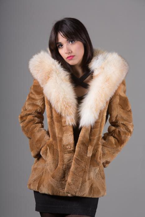 how to choose a fur coat from a beaver sheared