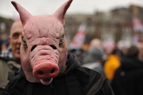 Why Muslims Cannot Eat Pork: History